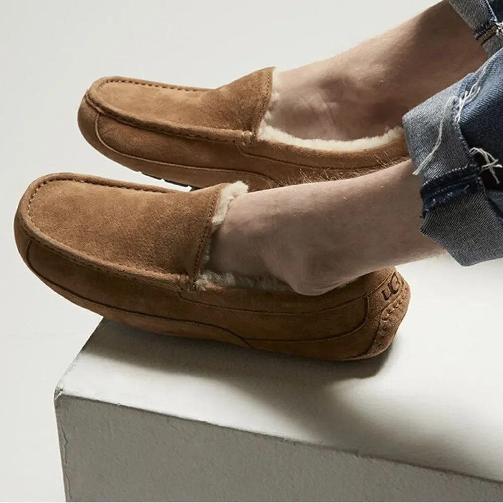 UGG designer hp